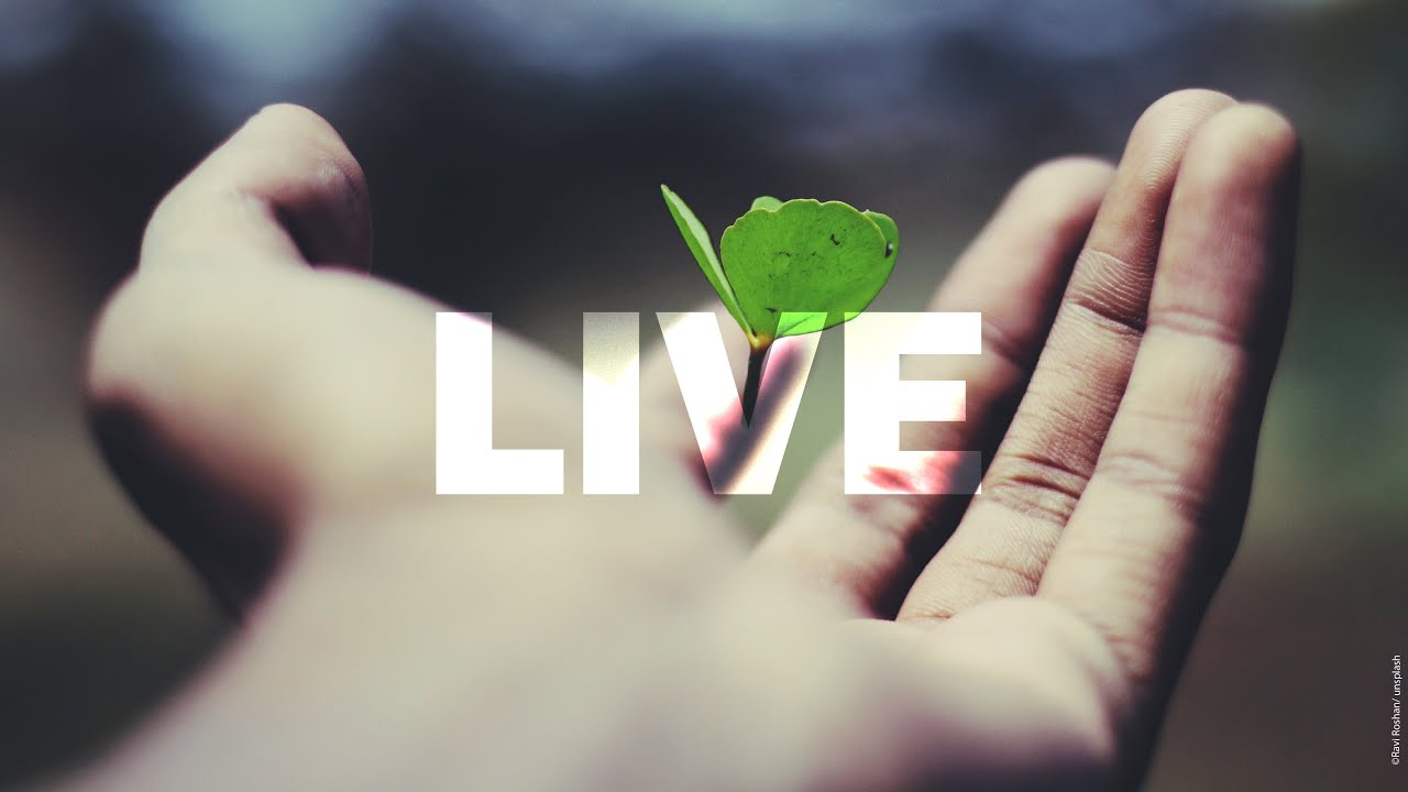 „Leben im überfluss“ - Live-Gottesdienst aus dem Adventhaus in Köln