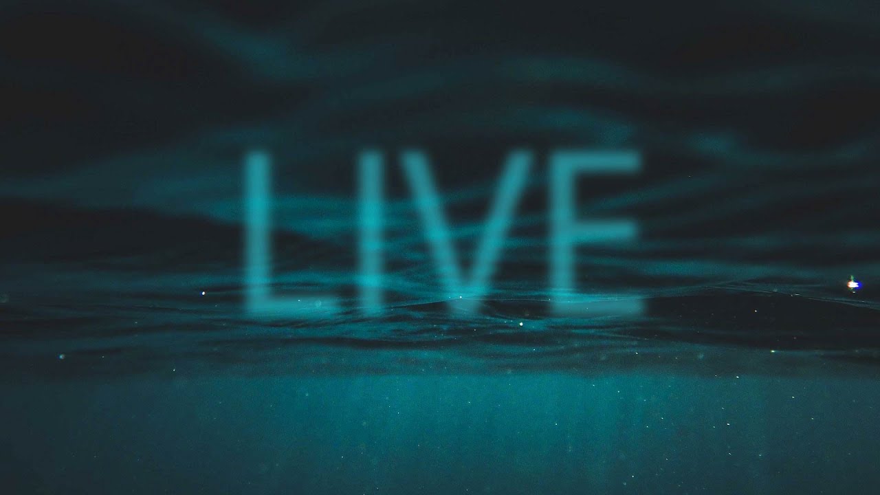 … ob ich euch Segen herabschütten werde in Fülle - Livestream aus dem Adventhaus Köln-Mitte