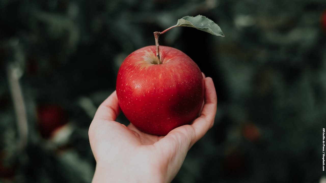 Laßt euch nicht verführen - Livegottesdienst aus dem Adventhaus Köln