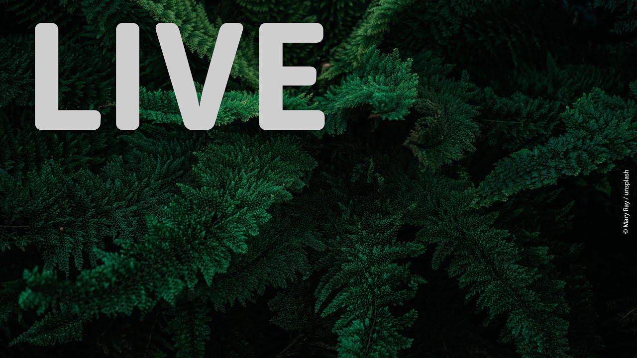 Brauchen wir mehr? - Live Gottesdienst aus dem Adventhaus in Köln
