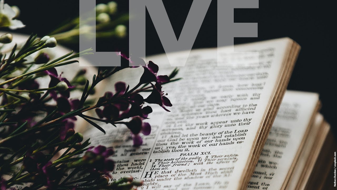Die gegenwärtige Heiligtums-Wahrheit - Livestream aus dem Adventhaus Köln-Mitte